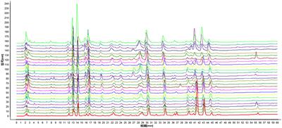 Identification of Nutmeg With Different Mildew Degree Based on HPLC Fingerprint, GC-MS, and E-Nose